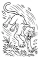 Panther Leaps Through the Wild Grass