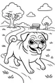 Pug’s Happy Park Stroll