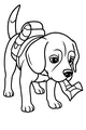 Puppy Scout Brings the Map