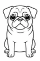 Pug With Big Round Eyes