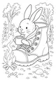 Camping Bunny’s Boot Hideaway
