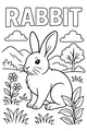 Sunny Meadow Rabbit Watching the World