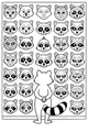 Which Raccoon Face Is The Funniest?