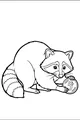 Rascal Raccoon Finds a Lucky Coin