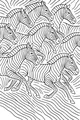 Rush of Racing Zebras