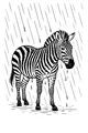 Rainy Day Zebra Stripes