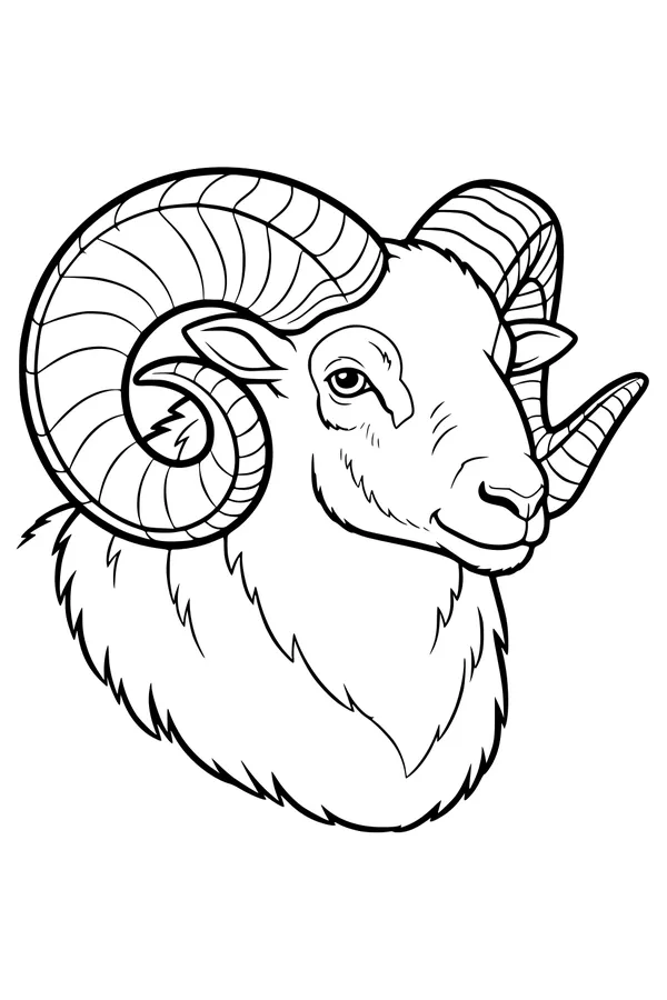 The Mountain Ram and His Swirly Horns