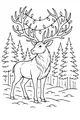 Reindeer Lights in the Pine Forest