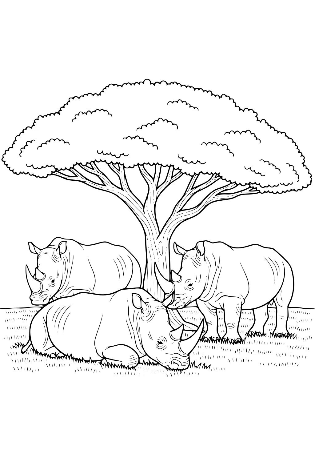 Three rhinoceroses beneath a wide acacia tree in a grassy field, one lying down and two standing near each other.