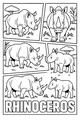 Big Rhino Parade on the Grasslands