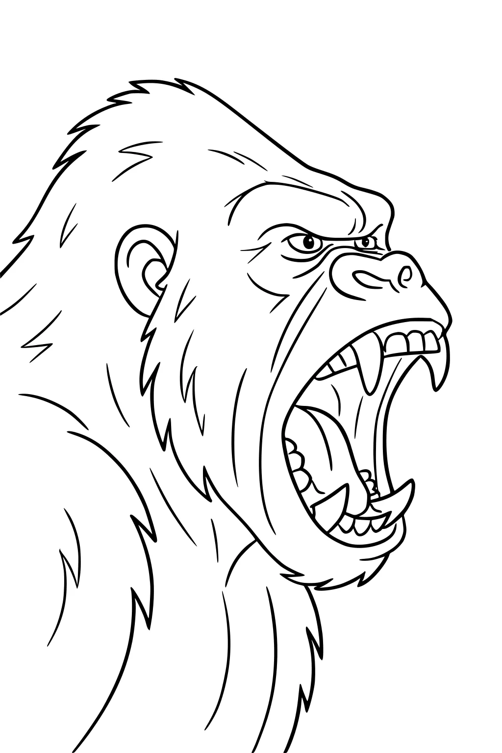 Roaring gorilla with wide open mouth, showing sharp teeth and details in thick fur.