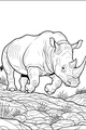 Ranger Rhino on Rocky Safari