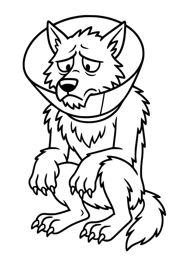 Poor Wolfie and His Cone
