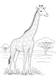 Tallest Friend on the Savanna