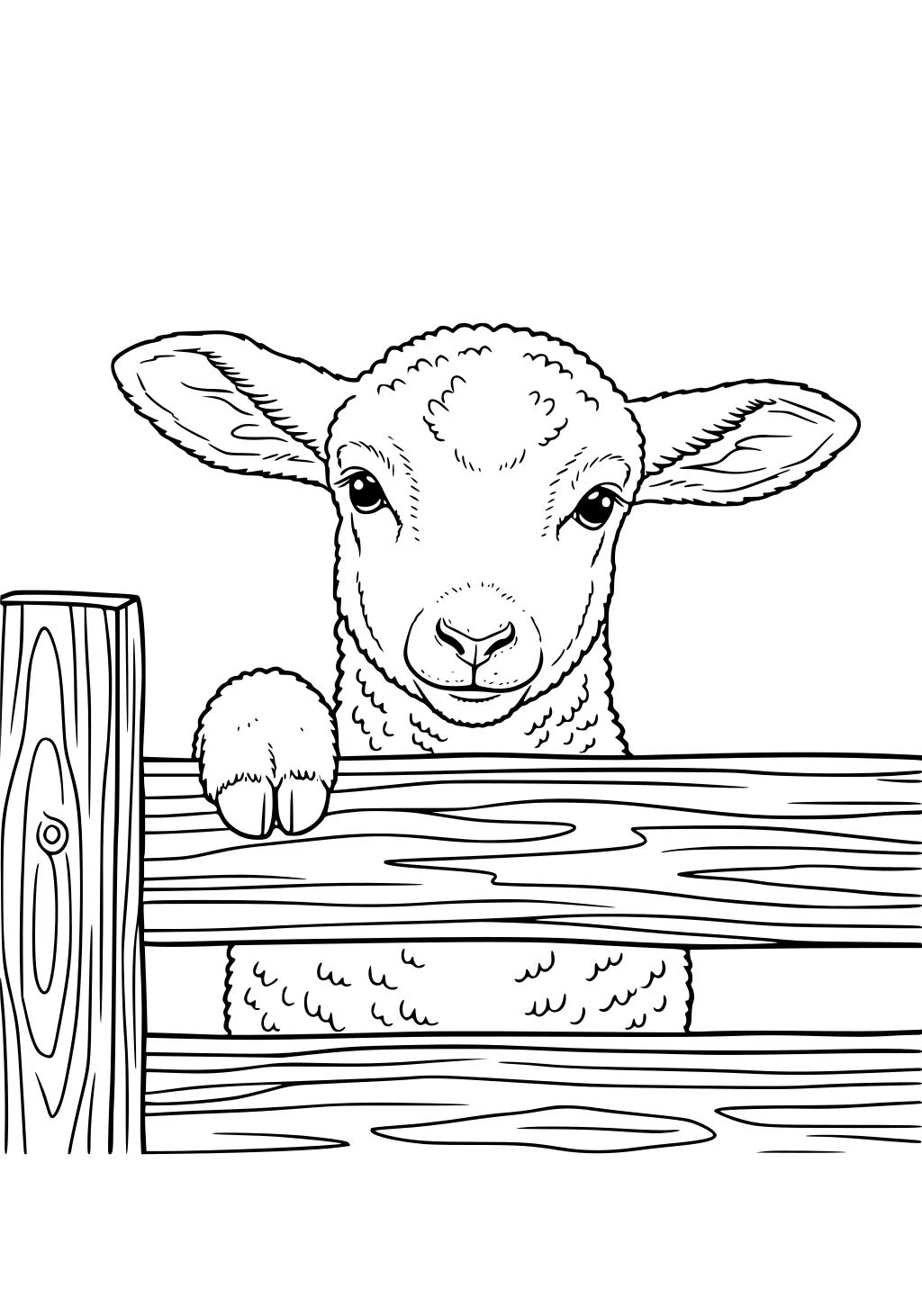 Young sheep standing behind a wooden fence with one hoof resting on the top rail, looking forward with wide ears.