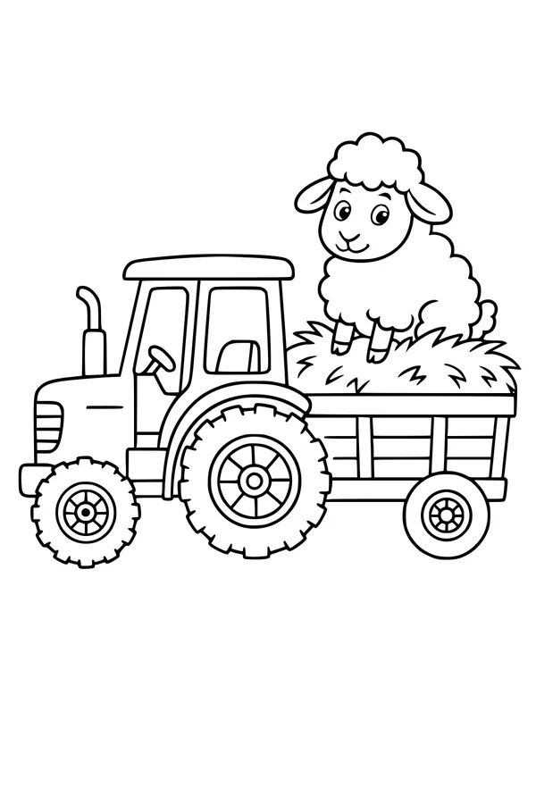 Sheep's Bumpy Tractor Ride Through the Meadow