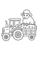Sheep's Bumpy Tractor Ride Through the Meadow