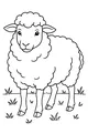 Fuzzy Sheep in the Fresh Green Field