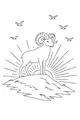 Ram on the Sunny Mountain Top