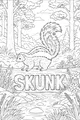 Stripey Skunk by the Babbling Brook