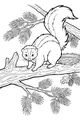 Skunk’s Secret Treehouse