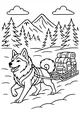 Brave Sled Dog in the Snowy Pines