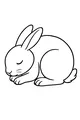 Naptime for Little Bunny