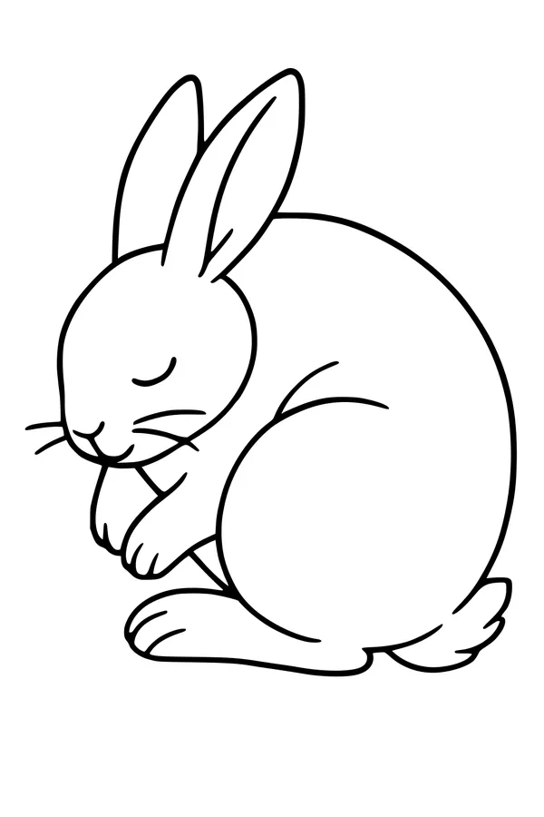 Bunny Nap on a Soft Spring Day