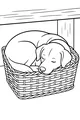 Sleepy Pup in a Cozy Woven Basket