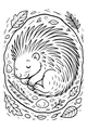 Porcupine Napping in the Leafy Forest