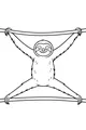 Super Stretchy Sloth Hangs Around