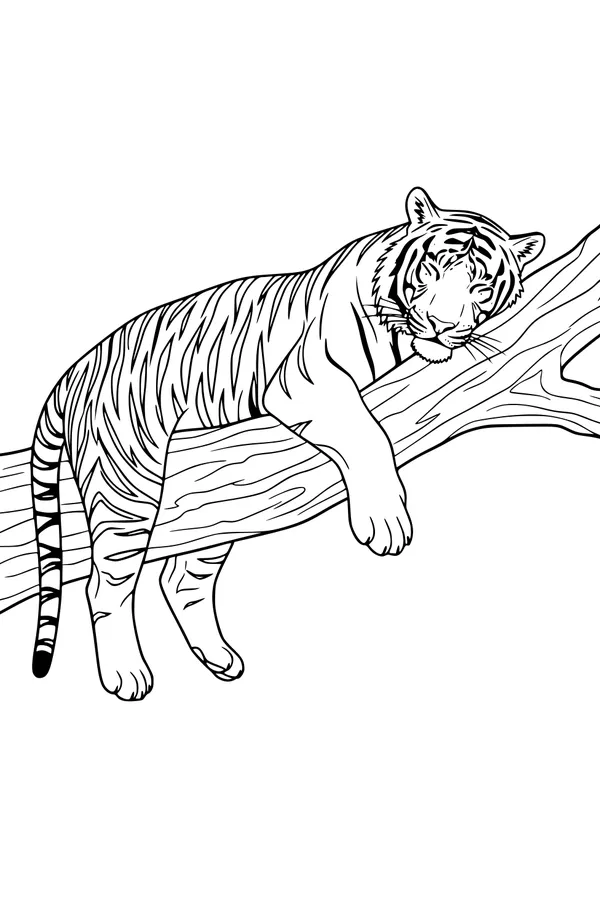 Sleepy Stripes on a Sunny Branch