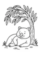 Sleepy Wombat Under the Gum Tree