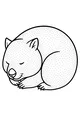 Sleepy Wombat Tucked in a Ball