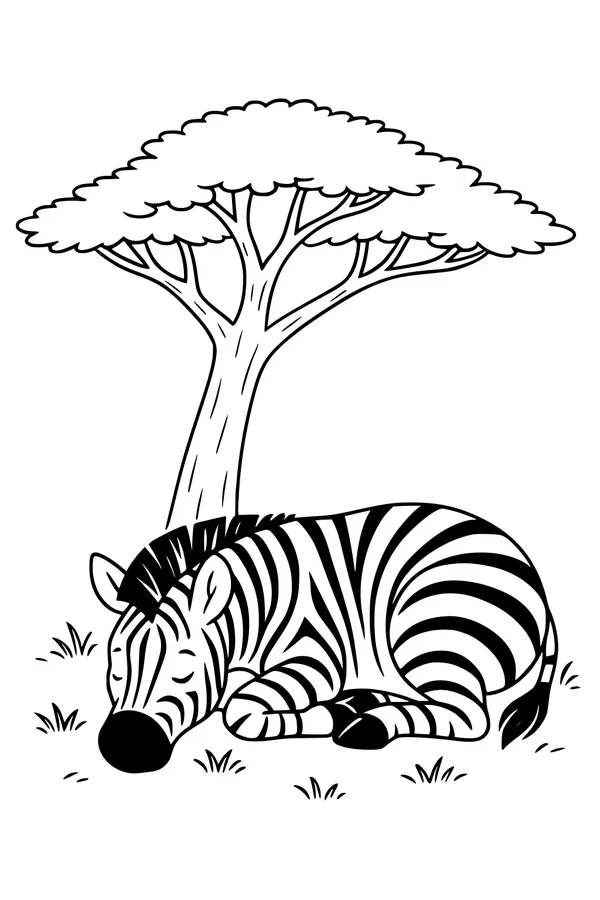Zebra Snooze in the Shade