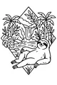Sloth Nap Beside the Waterfall