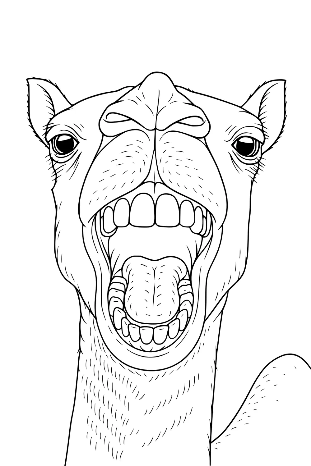 Camel face up close with mouth wide open, big teeth, expressive eyes, and furry ears drawn in black outlines.