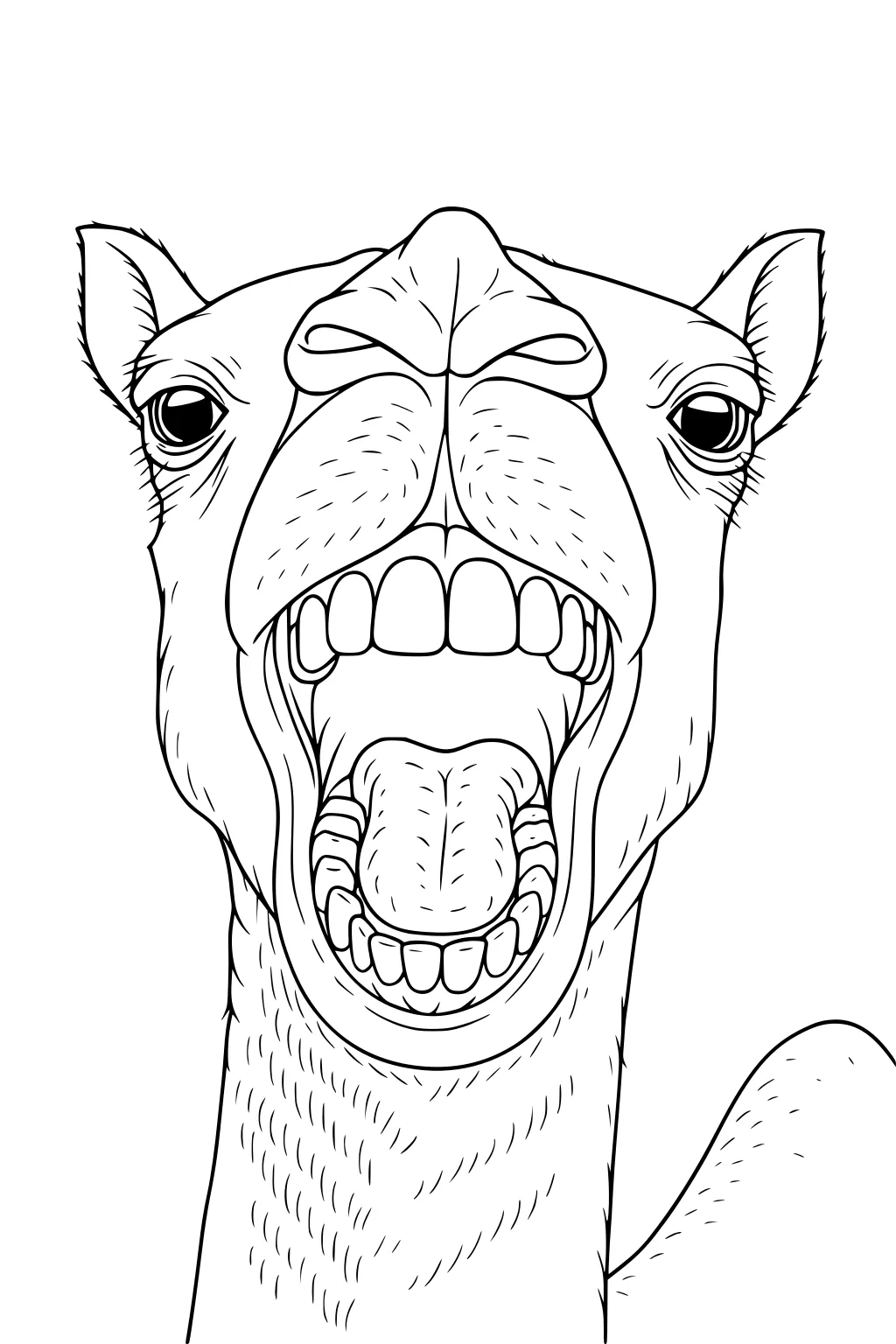 Camel face up close with mouth wide open, big teeth, expressive eyes, and furry ears drawn in black outlines.