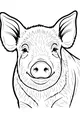 Sunny Snout and the Friendly Pig Smile