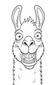 The Big Grin Llama