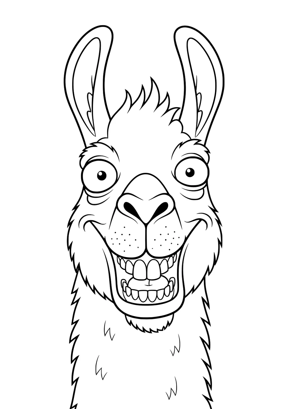 Female llama facing forward, wide eyes, big open grin, large upright ears, and fluffy outlined fur.