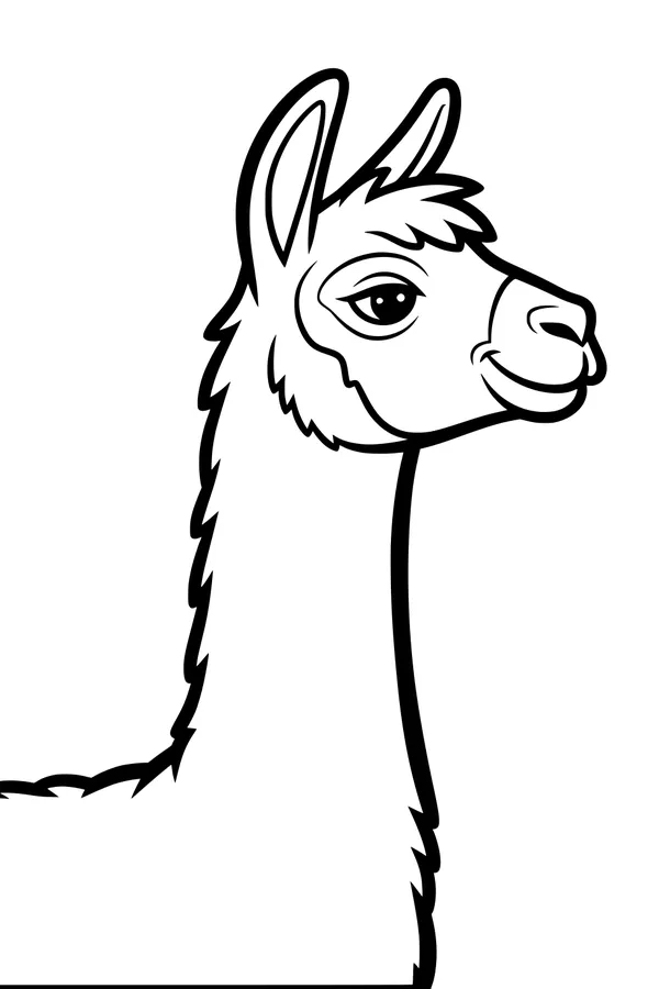 Smiling Llama in the Sunshine