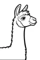 Smiling Llama in the Sunshine