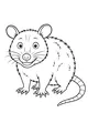 Happy Opossum Wiggle and Grin