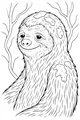 Sammy the Slow Smiling Sloth