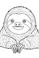 Sammy the Smiling Sloth Says Hello