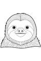 Smiling Sloth With Silky Hair