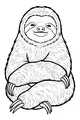 Sunny Sloth’s Super Slow Smile
