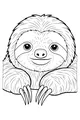 Sleepy Sloth Smiles All Day Long