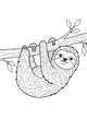 Sunny Branch Nap with Sloth Sam
